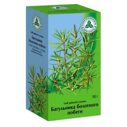 багульник болотный побеги (красногорск)