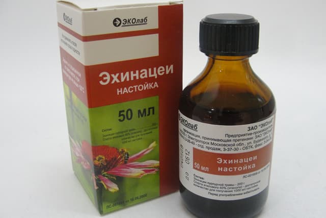 эхинацея настойка 50 мл
