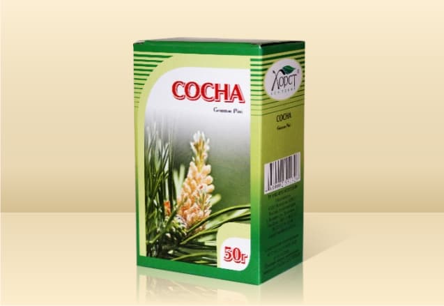 сосна почки 100 г